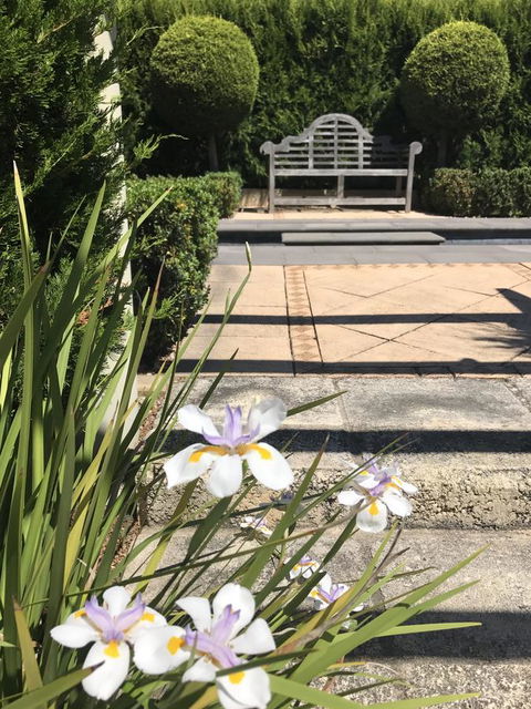 S T U D I O 22 Peaceful Retreat With Garden Views - Sydney 4u 13