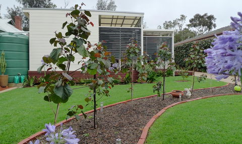 Grassmere House Magill - Sydney 4u 19