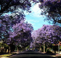 Monaco Court Apartment Adelaide - Sydney 4u