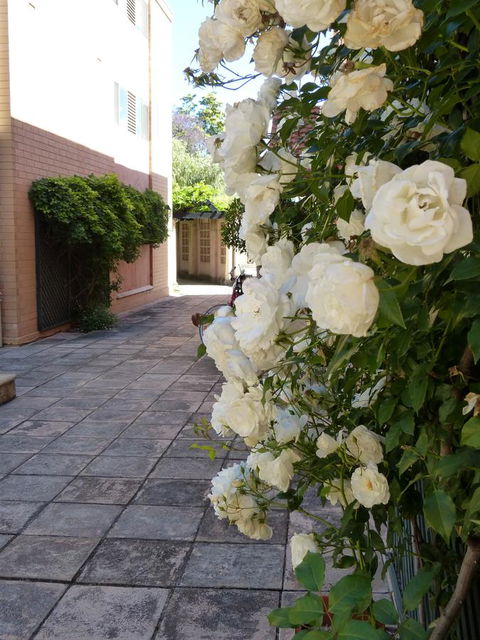 Monaco Court Apartment Adelaide - Accommodation Sydney 19