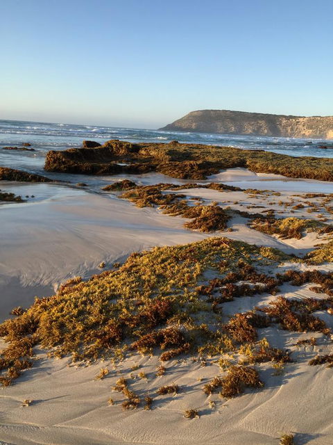 Kestrel Downs - Accommodation Sydney 34