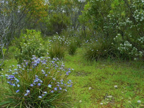 Kestrel Downs - Accommodation Sydney 32