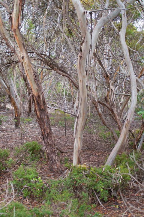 Kestrel Downs - Accommodation Sydney 19