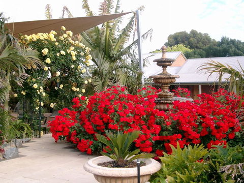McLaren Vale Motel & Apartments - Sydney 4u 35