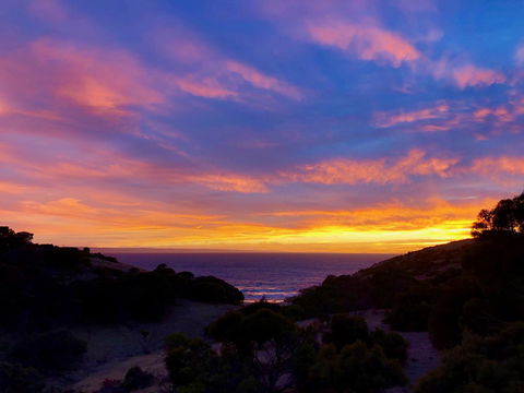 Sea Dragon Kangaroo Island - Accommodation Sydney 14