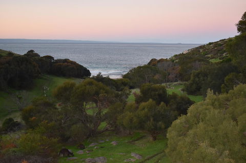 Sea Dragon Kangaroo Island - Accommodation Sydney 30