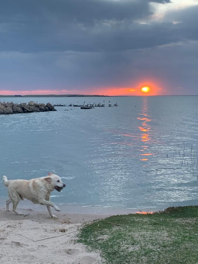 Meningie SA Accommodation Sydney