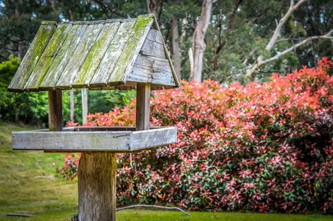 Ghost Hill Road Retreat - Sydney 4u 17