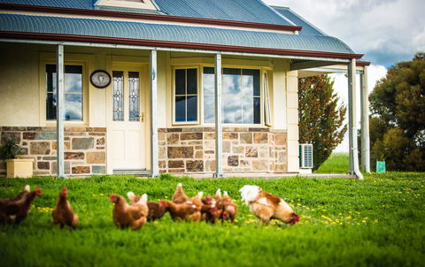 Barossa Vineyard Cottages - Sydney 4u 40