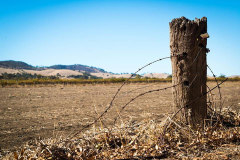 Barossa Vineyard Cottages - Sydney 4u 5