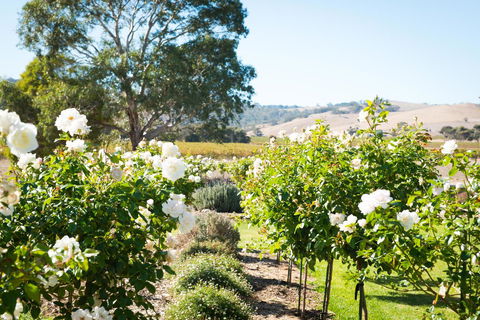 Barossa Vineyard Cottages - Sydney 4u 1