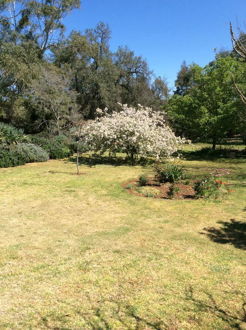 Kit Kat Cottage - Heritage Accommodation Burra - Sydney 4u 5