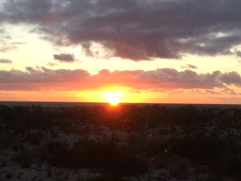 Adelaide - Semaphore Beach Front - Sydney 4u 36