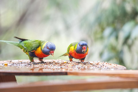 Smiths Lake House - Sydney Resort 18