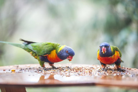 Smiths Lake House - Sydney Resort 28