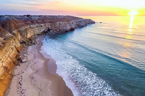 Lavina Luxury Beach House - Sydney 4u 31