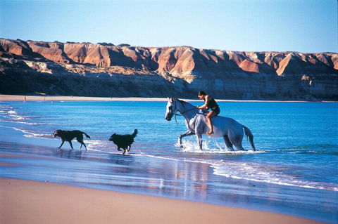 Lavina Luxury Beach House - Sydney 4u 25