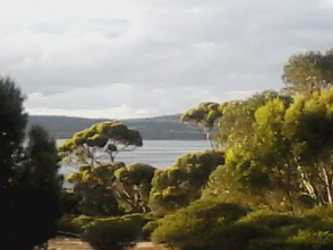 Mallee Bark Retreat - Sydney 4u 11