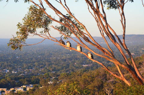 Kingsview Belair, Apartment Grand Views Of Adelaide - Sydney 4u 1