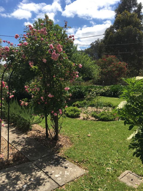 Hilltop Too - Sydney 4u 13