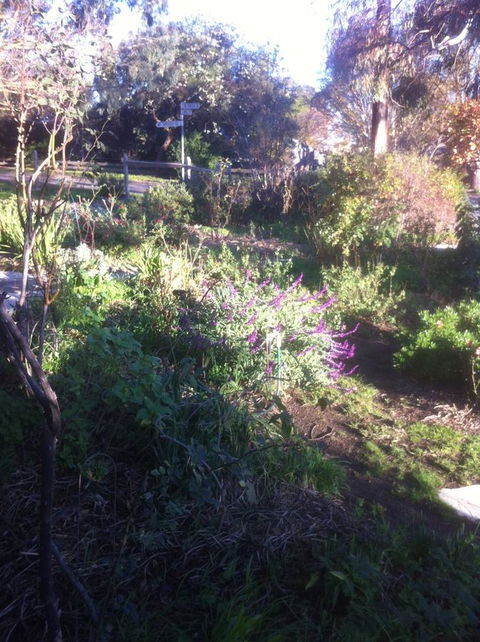Hilltop Too - Sydney 4u 12
