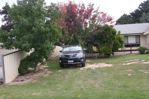 Owl Place In Hahndorf - Sydney 4u 5