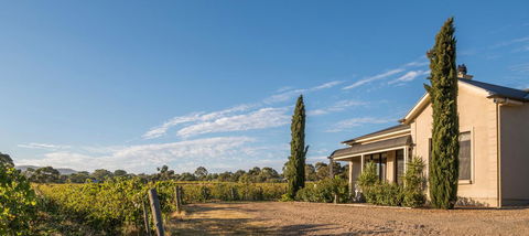 Barossa Shiraz Estate - Sydney 4u 13