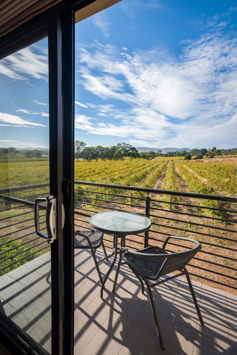 Barossa Shiraz Estate - Sydney 4u 33