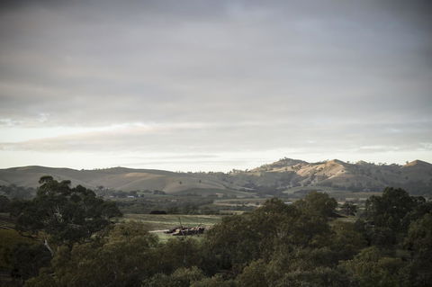 Novotel Barossa Valley Resort - Sydney 4u 23