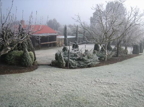 Vineyard Cottage BnB - Sydney 4u 15