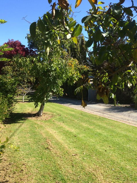 Vineyard Cottage BnB - Sydney 4u 17
