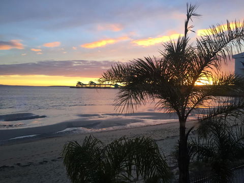 Hilton Beachfront Motel - Sydney 4u 28