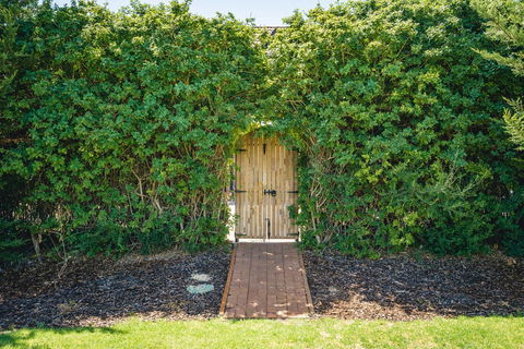 Mick O\'Sheas - Accommodation Sydney 32