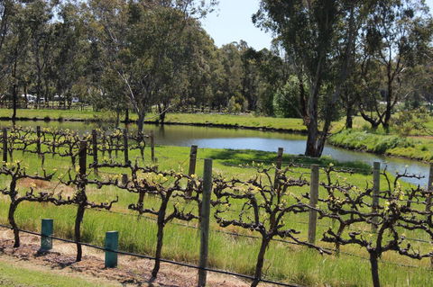 OXENBERRY FARM - Sydney 4u 19