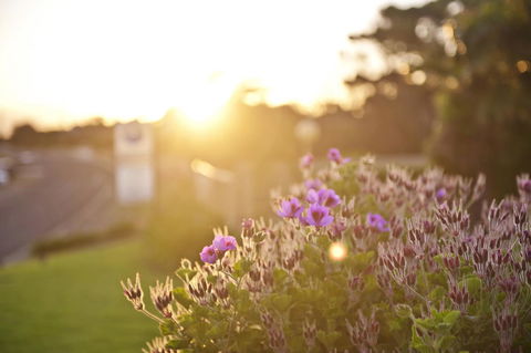 Kangaroo Island Seaside Inn - Sydney 4u 33