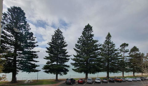 Pier Hotel Port Lincoln - Sydney 4u 12