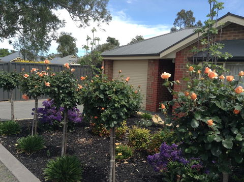 C And C Tanunda - Sydney 4u 1