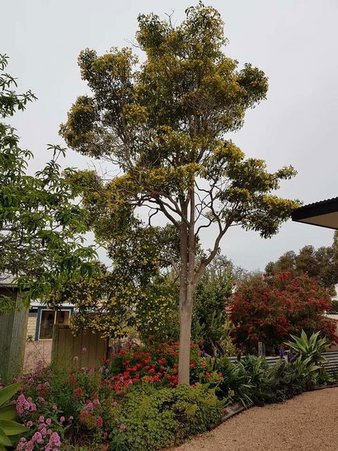 Sinclair Cottage - Sydney 4u 25