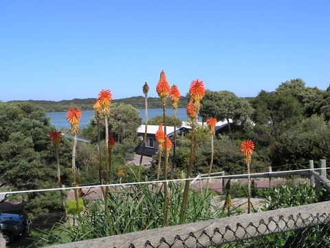 Lakeside Tourist Park - Sydney 4u 3