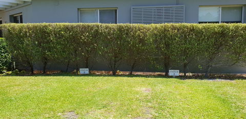 2 Austinmer Studio - Sydney 4u 12