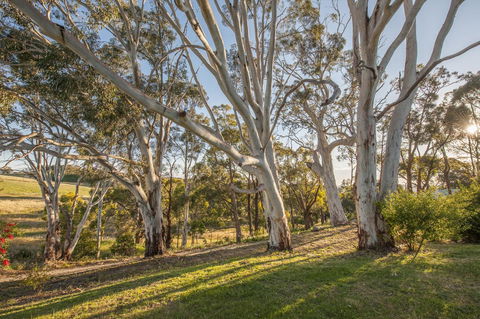 Discovery Parks - Hahndorf - Sydney 4u 4