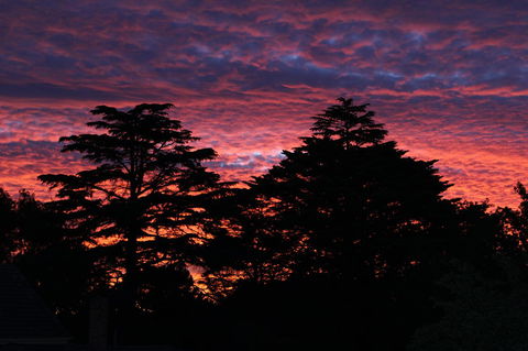 Pirralilla Estate Adelaide Hills - Sydney 4u 26
