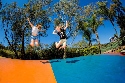 BIG4 Renmark Riverfront Holiday Park - Sydney 4u 37
