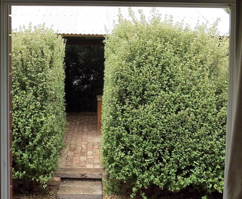 A2@Port Willy - Accommodation Sydney 13