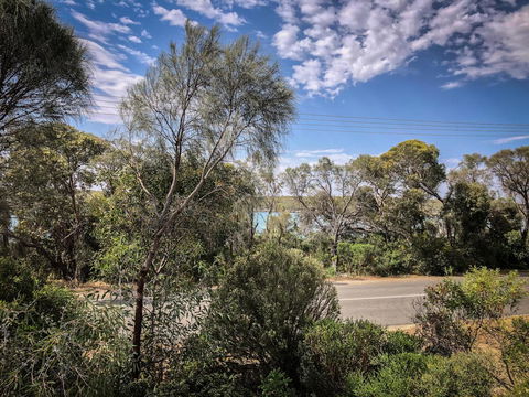 SeaLaVie - Sydney 4u 40