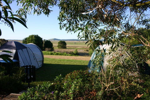 Millicent Hillview Caravan Park - Accommodation Sydney 43