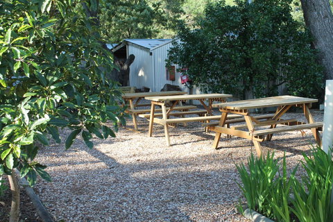 Millicent Hillview Caravan Park - Accommodation Sydney 9