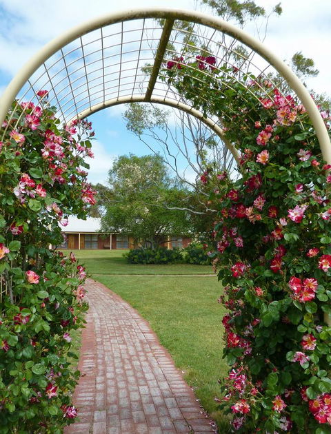 Coonawarra Place Motor Inn - Sydney 4u 20