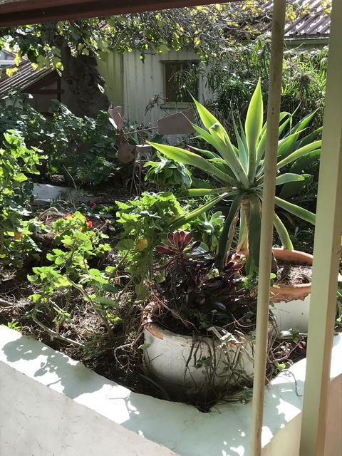 Cosy Nook - Sydney 4u 19