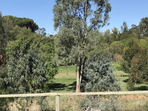 Adagio In Auburn - Sydney 4u 25